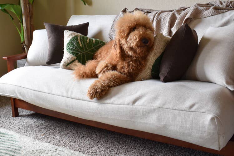 Heavy duty discount futon bed