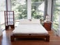 Natural Rest - Soy Foam & Organic Cotton - Soft