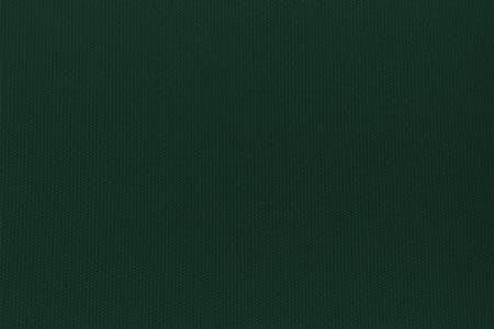 CPFCQ766H Queen Forest Green Outdoor Weather Resistant Futon sku CPFCQ766H