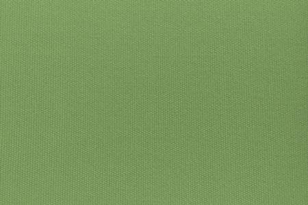 Avocado - Solid Organic Cotton Twill Futon Cover