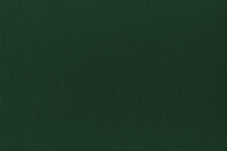 Lucky Hunter Green Futon Cover Twin