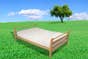 Suzie_Q_Natural_Organic_Wood_Daybed_Frame_Oak