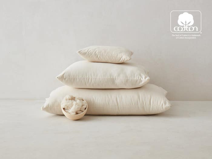 Organic Cotton Bed Pillow