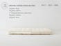 Celestia Organic Latex Mattress Topper - Latex And Wool Mattress Topper - The Futon Shop