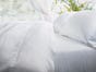 Cariloha Resort Percale Bamboo Bed Sheet Set