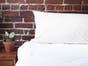 Organic Latex Contour Bed Pillow
