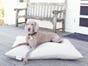 Wool Dog Bed
