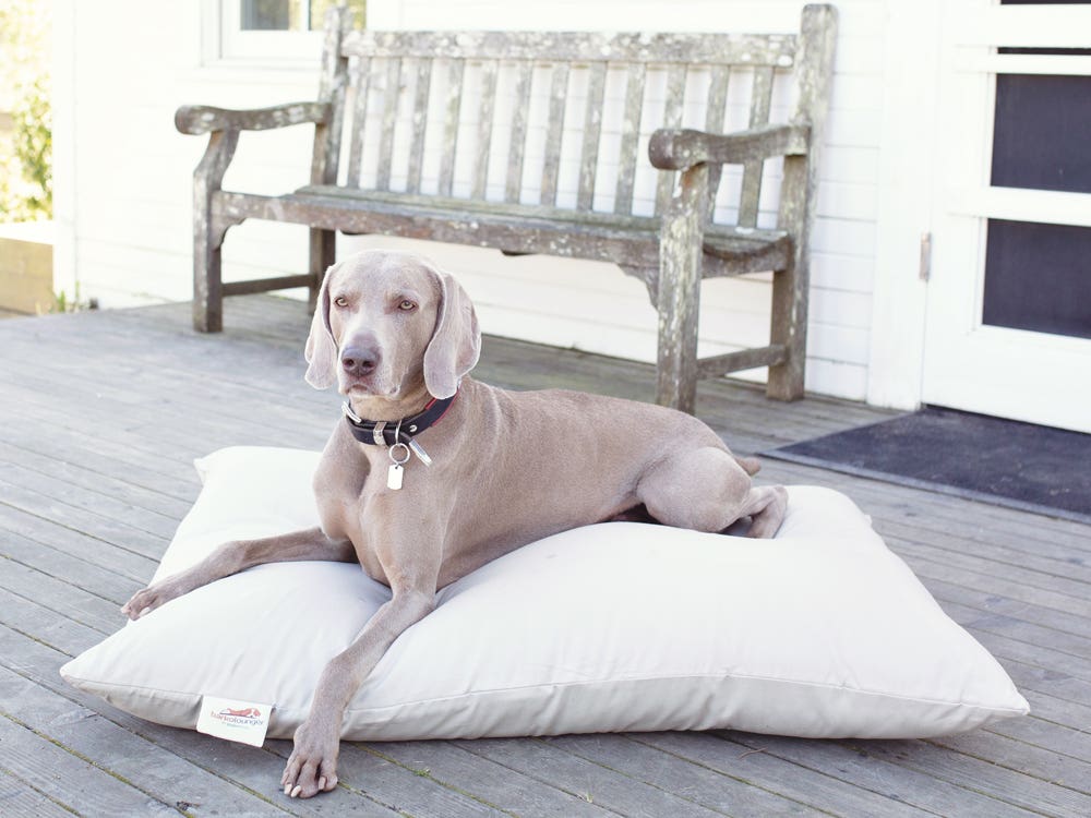 Dog Bed Navy | Wool Dog Bed | The