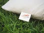 Organic Dog Bed Red 