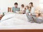 organic latex mattress