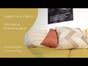 Vegan Throw Pillows - NBJ Organic Modular Seating - Natural Home by The Futon Shop