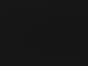 Black 101b