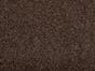 Birch Brown m196n