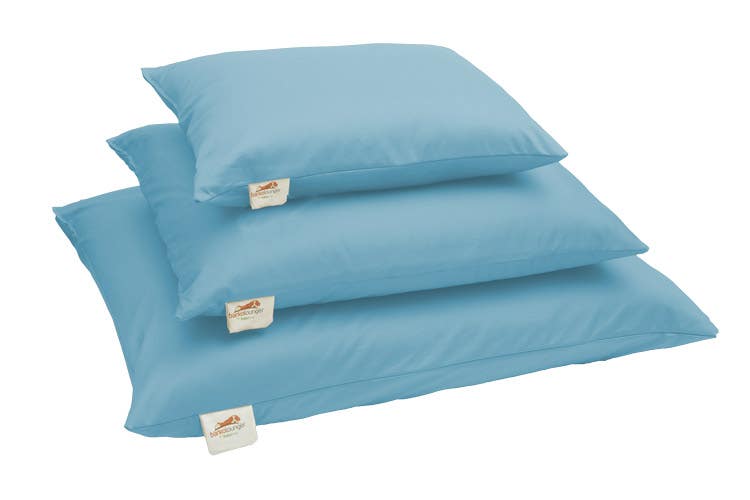 Natural Pet Mattresses Light Blue