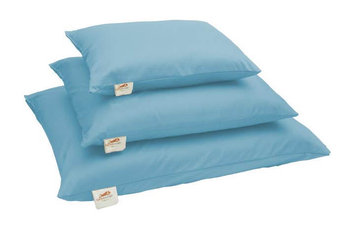 Natural Dog Bed Light Blue
