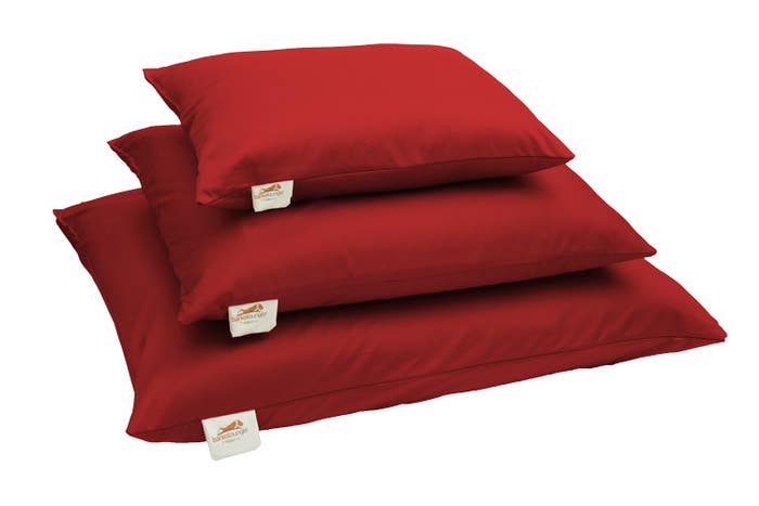 Organic Dog Bed Red 