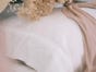 Organic Cotton Bed Pillow