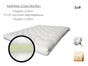 Organic Futon Bed 