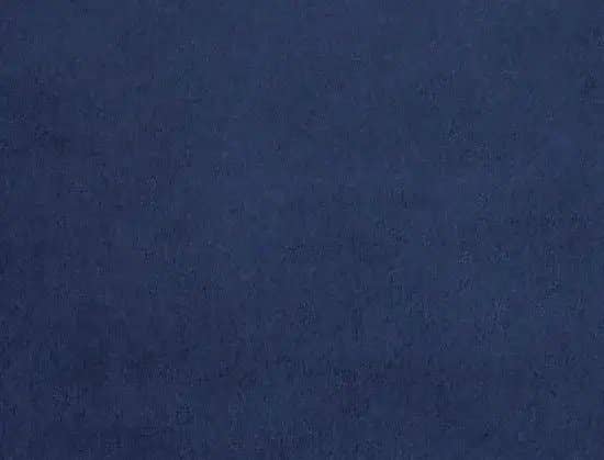 Navy 205