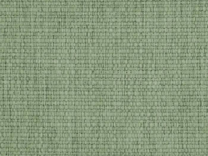 Fern 4070