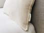 Horse hair & Wool Bed Pillows