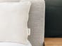 Organic Wool Bed Pillow