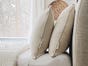 Organic Wool Bed Pillow