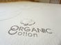 Organic Cotton Mattress Protector