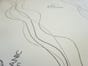 Organic Cotton Mattress Protector