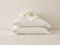 Organic Cotton Sheets & Pillow Set - White