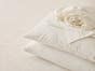 Organic Cotton Sheets & Pillow Set - White