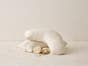 Latex Side Sleeper Pillow