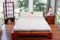 Japanese Tatami Bed in Honey Oak Stain