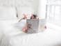 Organic Cotton Sheets & Pillow Set - White