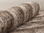 Virtues Virgin Wool Rug