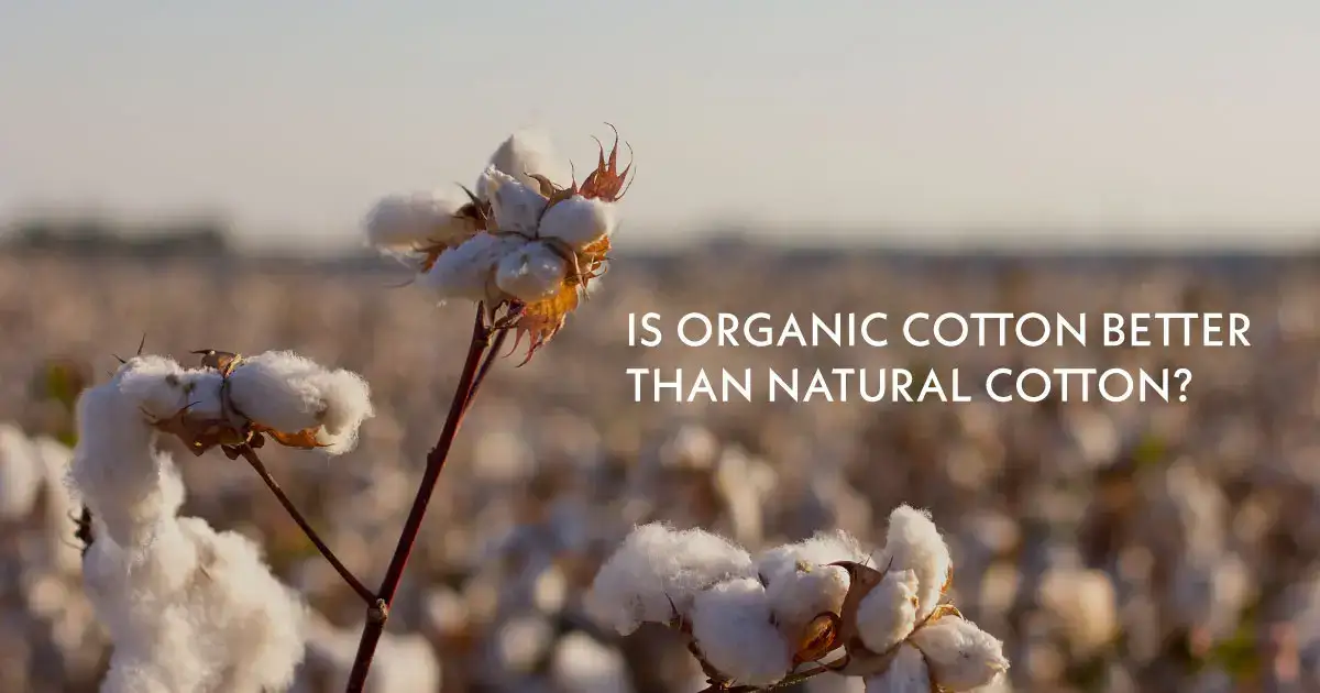 Is organic cotton better than natural cotton?