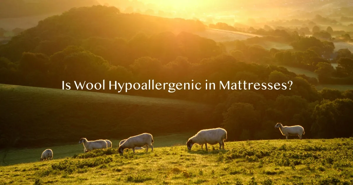 Is wool hypoallergenic in mattresses?