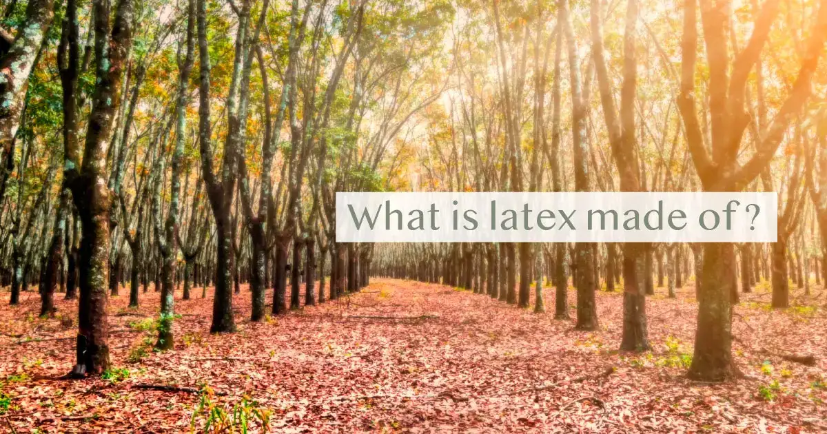 What is latex made of? | The Futon Shop
