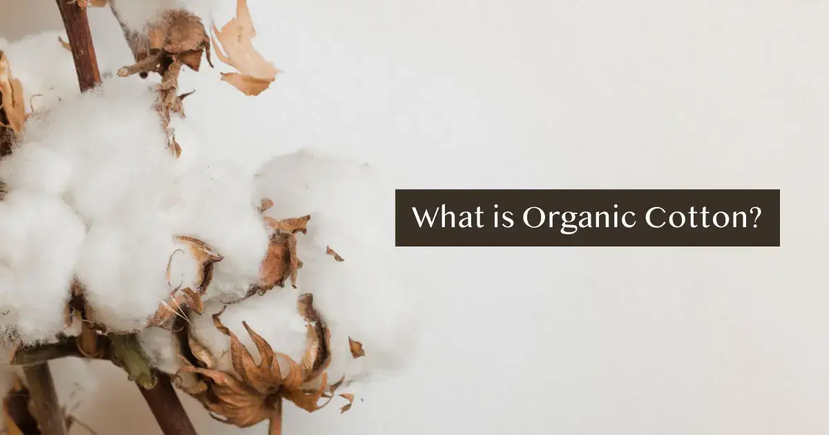 What is organic cotton?