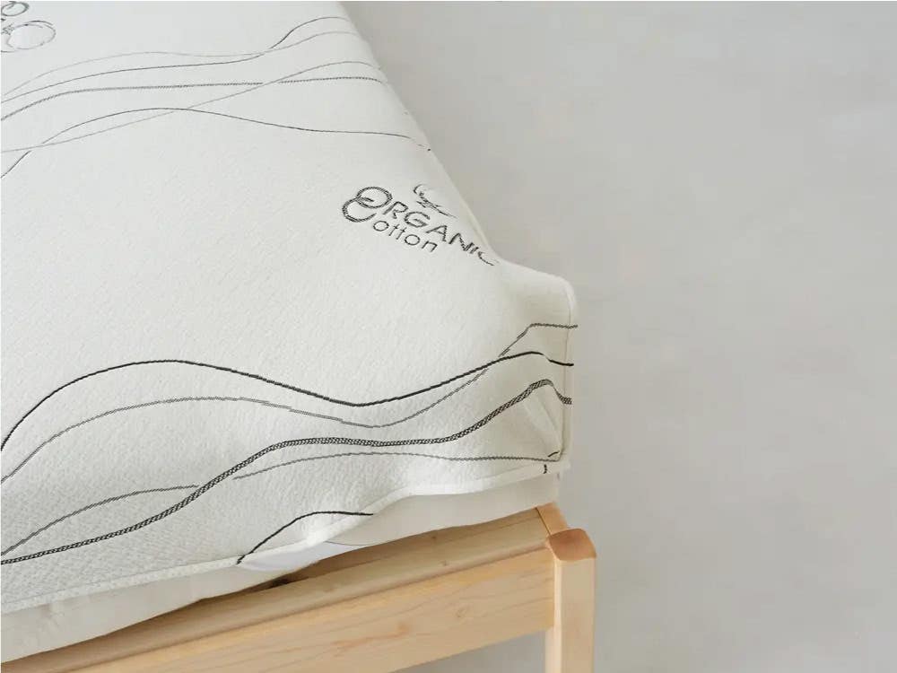 The Futon Shop protector