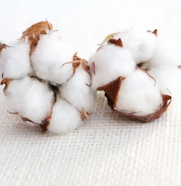 benefits of cotton Durability