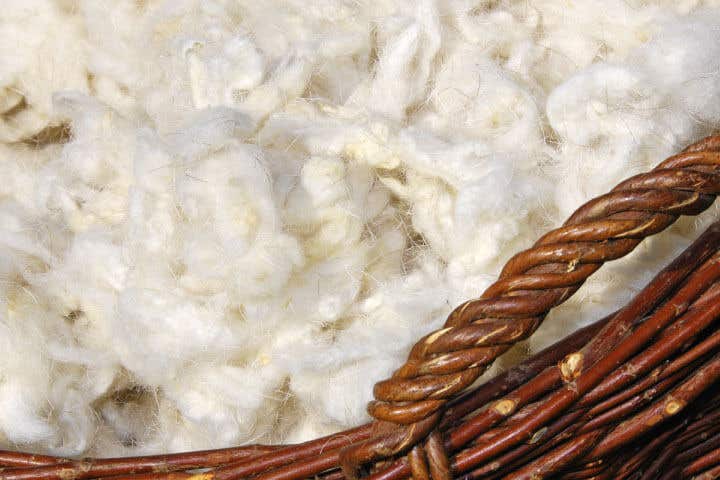 Coconut Coir Mattresses
