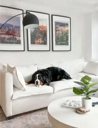 Shop_Modular_Sofa