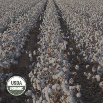 Organic Cotton_1