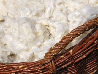 wool-_-