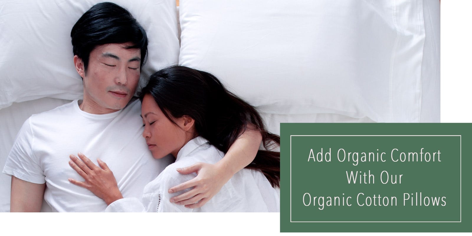 Organic Cotton Pillow