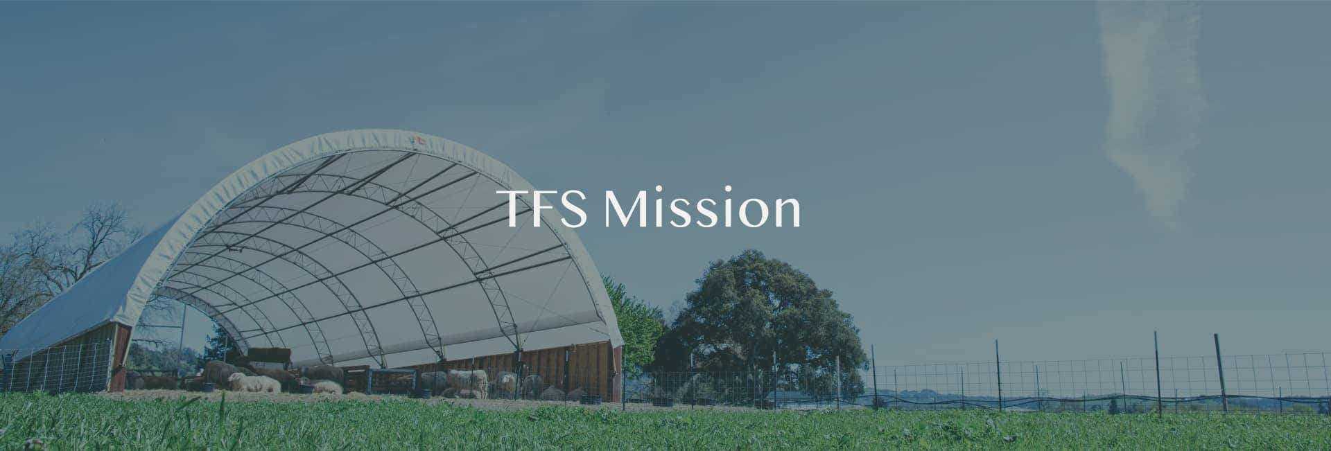 TFS Mission