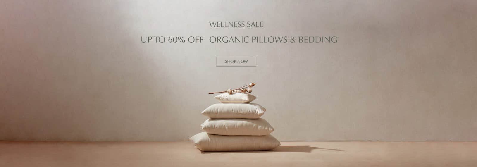 Pillows Sale
