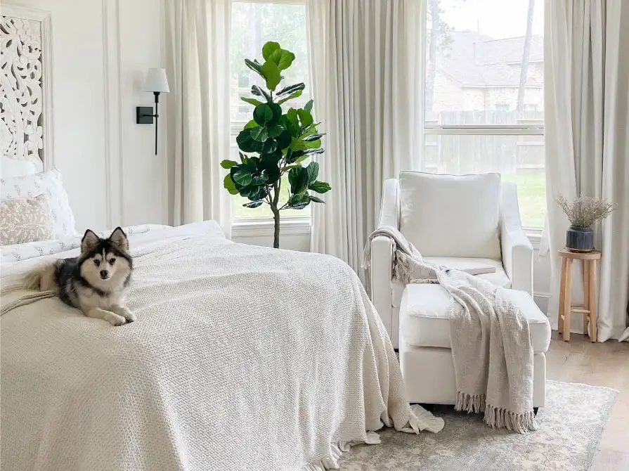 what_is_an_organic_mattress_benefits
