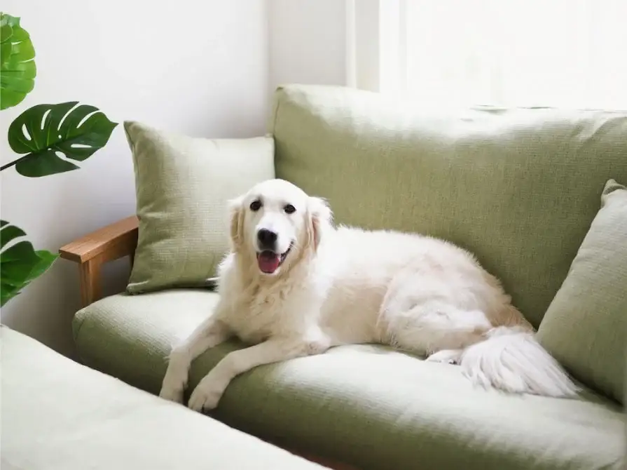 what_is_an_organic_mattress_5